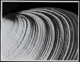 [Close-up of clam shell]