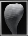 [Study of shell]