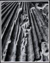 [Study of a shell]