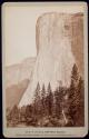 El Capitan, 3600 Feet, Yosemite