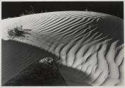 Dune at Granite Falls, Grand Canyon National Park, Arizona
