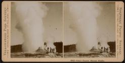 Giant Geyser, Bryant Profile