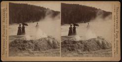 Sponge Geyser