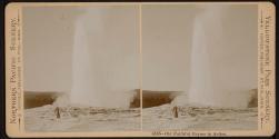 Old Faithful Geyser in Action