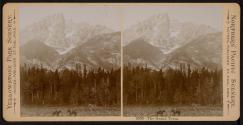 The Grand Teton