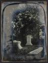 [Walcott-Frothingham Lots, Mount Auburn Cemetery]