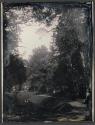 View Along Forest Pond, Mount Auburn Cemetery