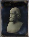 [Bust of a Man]