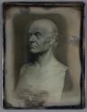[Bust of a Man]