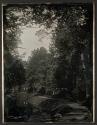 View Along Forest Pond, Mount Auburn Cemetery