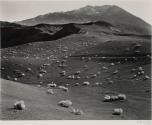 Ubehebe Crater Area, Death Valley