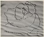 Tracks on Sand, Oceano