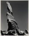 [Driftwood Stump, 1937]