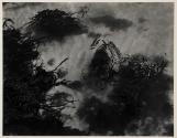 [Floating Kelp, Point Lobos, 1940]
