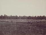 Wagon Park, Brandy Station, Virginia