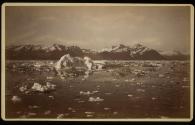 Glacier Bay