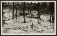 Angel Terrace, Yellowstone Park