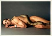 After Avedon