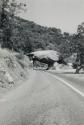 [Tunnel Rock at Sequoia National Park and Grand Canyon]