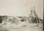 [The Grotto Geyser at Yellowstone National Park]