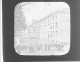 Princeton College.