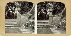 Stereo View of Garden