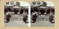 Stereo View of Garden
