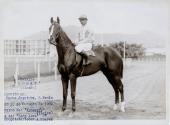Kodak Cavallo