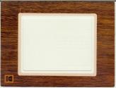 Kodak Instant Postcard