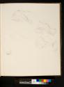 [Sketches of upper part of head and fabrics]