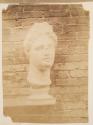 [Sculpture head]