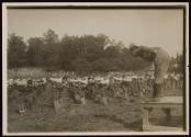 Camp Dix