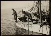 Fred, a young oyster fisher, working on an oyster boat. Said he was fourteen - but looked younger.
