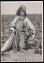 [Boy picking cotton, Bells, Texas]