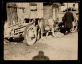 Krivolak. Curious ox-cart at Krivolak in southern Serbia