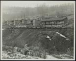 [This scene is typical of many camps built near the mine. In the background can be seen several of the government sanitary privies. These houses are multiple dwellings which accomodate several families]