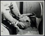 [Hands of worker]
