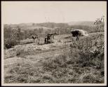 Grinding cane for sorghum on the J.W. Stookesberry farm, Anderson County, Tennessee. This land will be inundated by the waters of the Norris Dam reservoir.