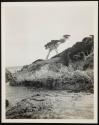 [View of ocean along California coastline (may have trees and/or rocky coast)]