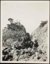 [View of ocean along California coastline (may have trees and/or rocky coast)]