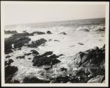 [View of ocean along California coastline (may have trees and/or rocky coast)]