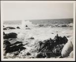 [View of ocean along California coastline (may have trees and/or rocky coast)]