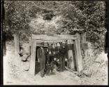 [Lewis Hine & mule driver emerging from West Virginia coal mine]
