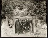 [Lewis Hine & mule driver emerging from West Virginia coal mine]