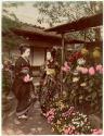 [Two Japanese women in flower garden]