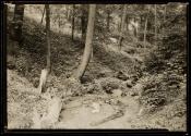 [Landscape]