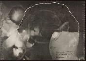 Documentary Photogram / Breakfast and Lunch