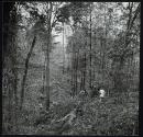Cranfield-Gibson's Landing Pipe Line, Natches, Mississippi