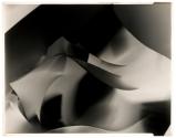 Cut paper abstraction