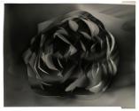 [Cut paper abstraction]